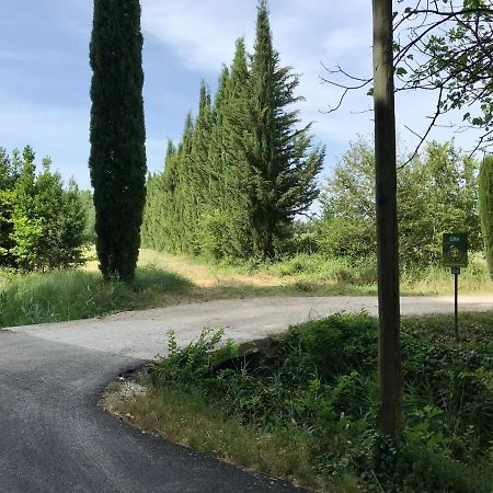 パリュ・ド・ノヴ Le Jardin D'Erables St Remy 7 Ha Piscine/Climヴィラ エクステリア 写真