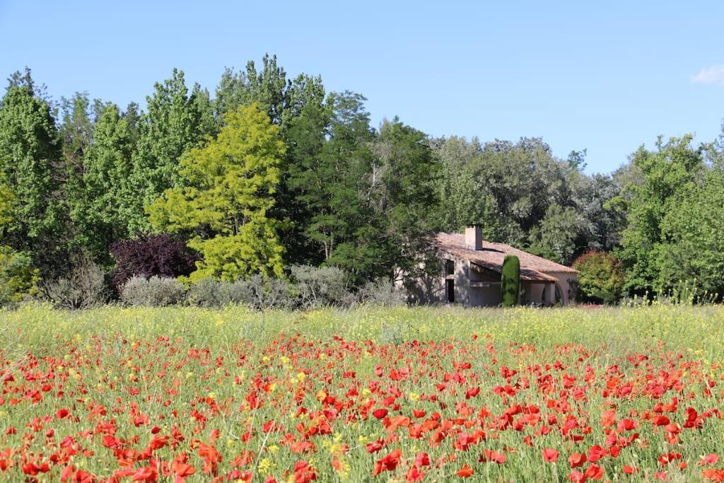 パリュ・ド・ノヴ Le Jardin D'Erables St Remy 7 Ha Piscine/Climヴィラ エクステリア 写真