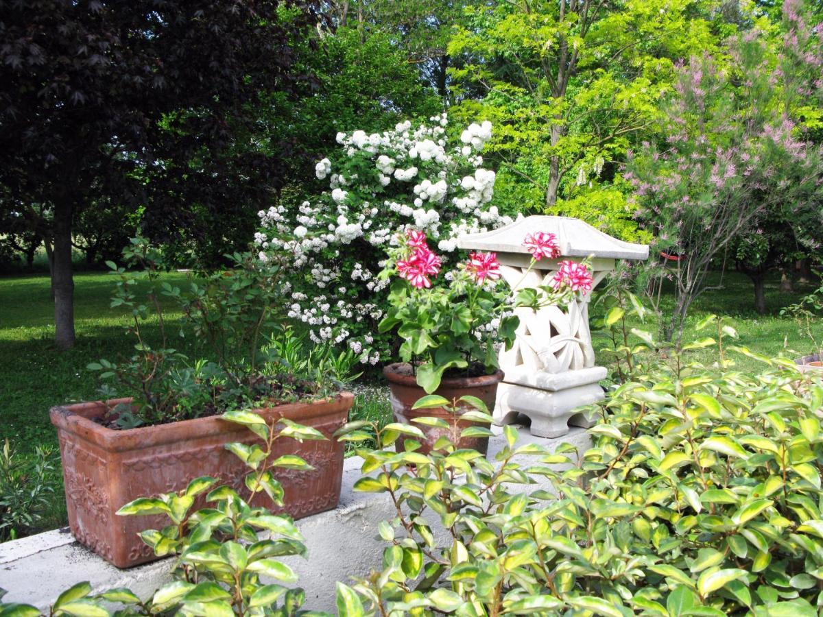 パリュ・ド・ノヴ Le Jardin D'Erables St Remy 7 Ha Piscine/Climヴィラ エクステリア 写真
